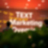 Dynamic text marketing campaign overview